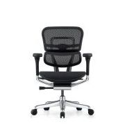 Comfort Ergohuman Elite G2 Task